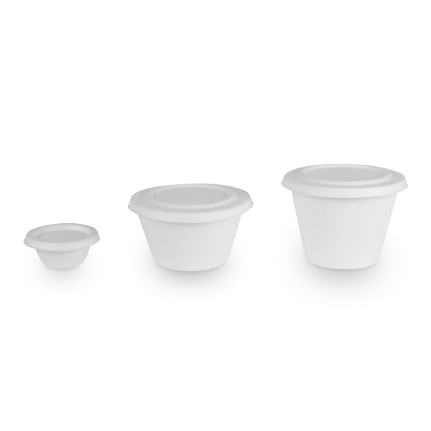 2oz 4oz 500ml 750ml Bagasse Sugarcane Cup and Lid