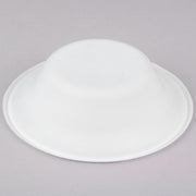 sugarcane bagasse bowl