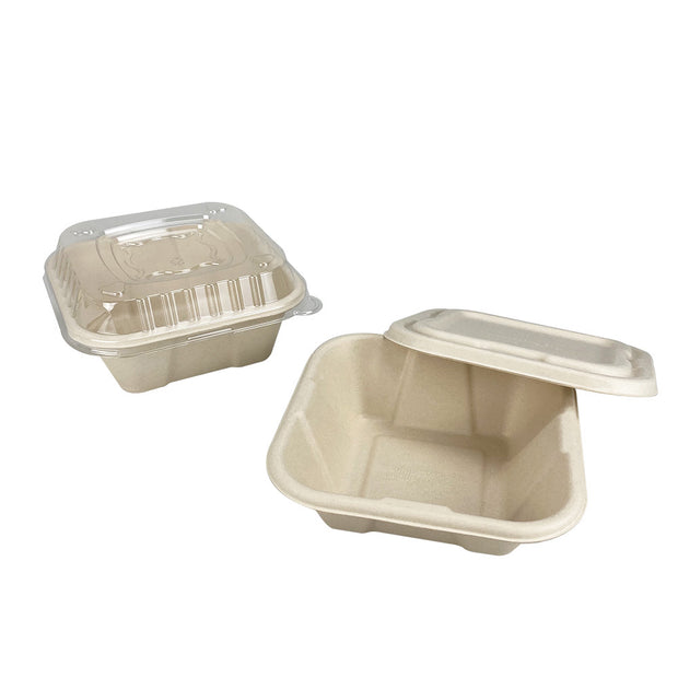 650ml 1000ml Sugarcane Bagasse Square Container