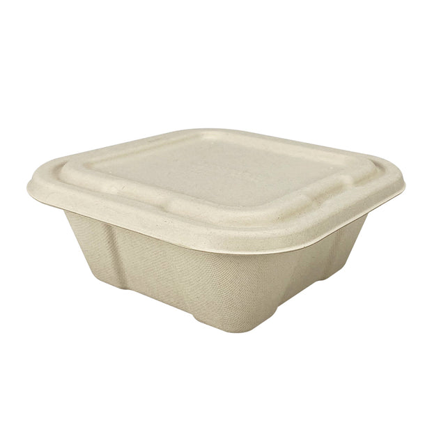 650ml 1000ml Sugarcane Bagasse Square Container