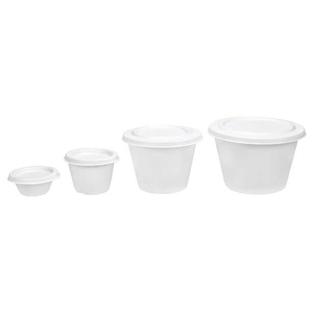 2oz 4oz 500ml 750ml Bagasse Sugarcane Cup and Lid