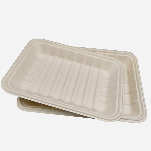Bagasse Sugarcane Meat Tray
